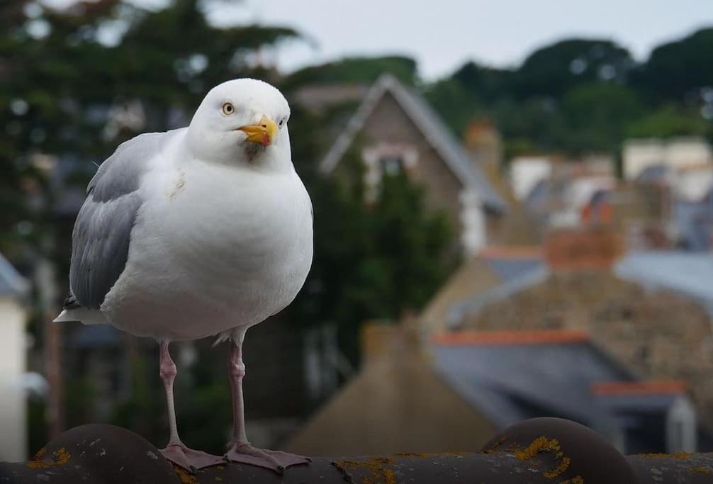 Solidor - Vue A 1 Minute De La ! Saint-Malo